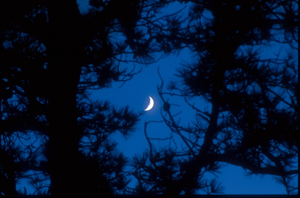 Harthaven Moon